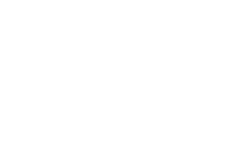 logo udima